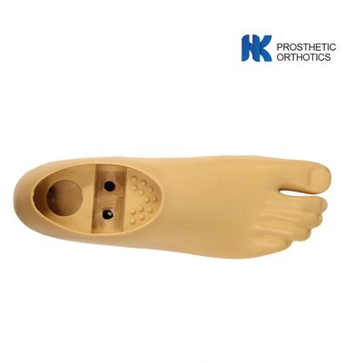 30cm Two Hole Fixed Double Axis Prosthetics Foot
