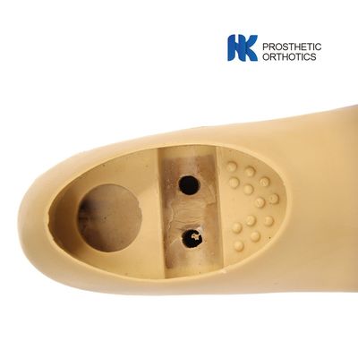 30cm Two Hole Fixed Double Axis Prosthetics Foot